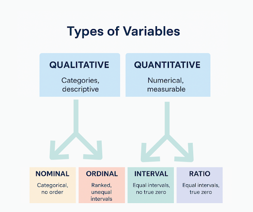 Types of Variables